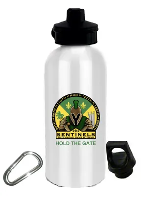 20 oz Stainless Steel Water Bottle with Stem/Straw Top and Spare Lid with Carabiner.