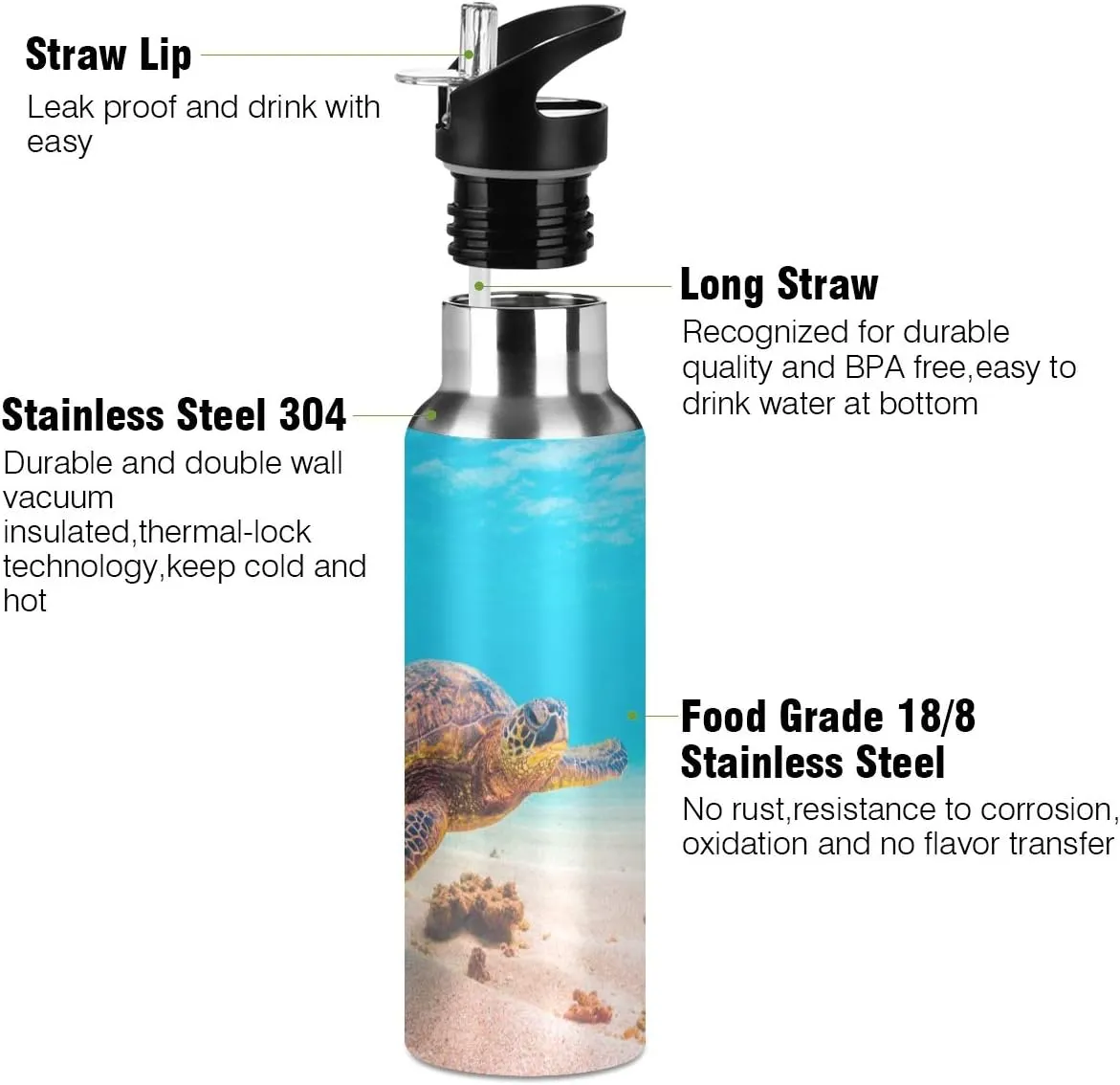 22oz Hawaiian Green Sea Turtle Water Bottle, BPA Free Stainless Steel Water Bottle Leak-Proof Sports Bottle for Camping Workouts Gym and Outdoor Activity