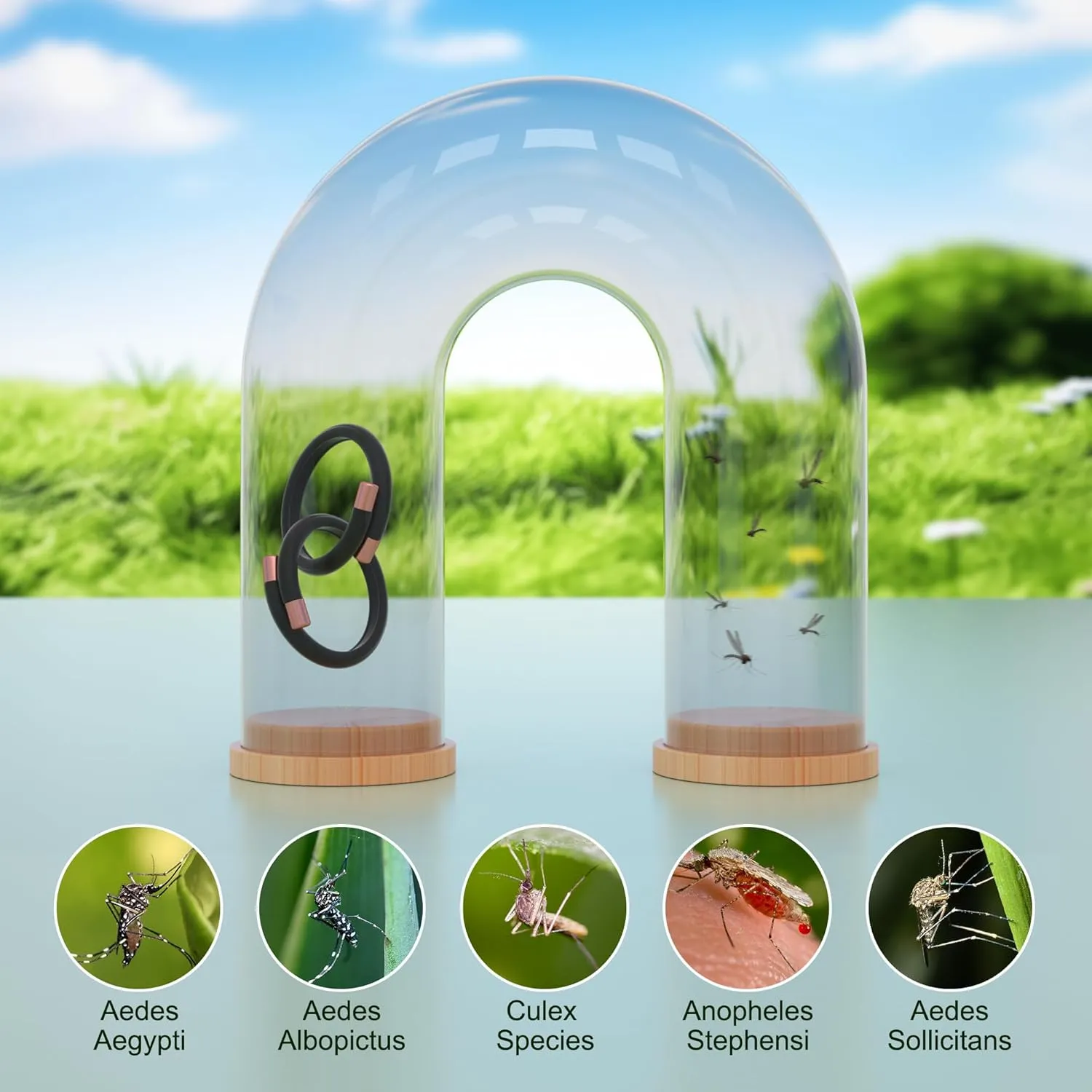 4 Pack Mosquito Repellent Bracelets - DEET-Free Bug Repellent Bracelets for Kids & Adults, Individually Wrapped Adjustable Insect Repellent Wristbands, Protection for Outdoor Activities