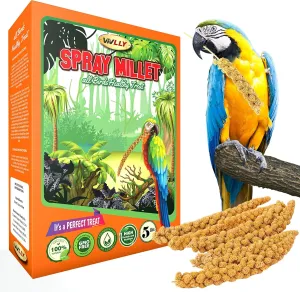 5 lbs of GMO-Free Sun-Dried Spray Millet - Natural Bird Treat for Parakeets, Cockatiels, Finches, and More - Non-GMO, Rich in Amino Acids, Convenient Storage, Delicious & Healthy Bird Snacks (5 lbs)