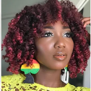 8 PCS Pre-twisted Yanky Twist Crochet Hair 14 Inch Ombre Burgundy Passion Twist Crochet Braiding Hair Pre-Looped Curly Crochet Braids Synthetic Spring Twist Crochet Hair Extensions (1B/BUG#)