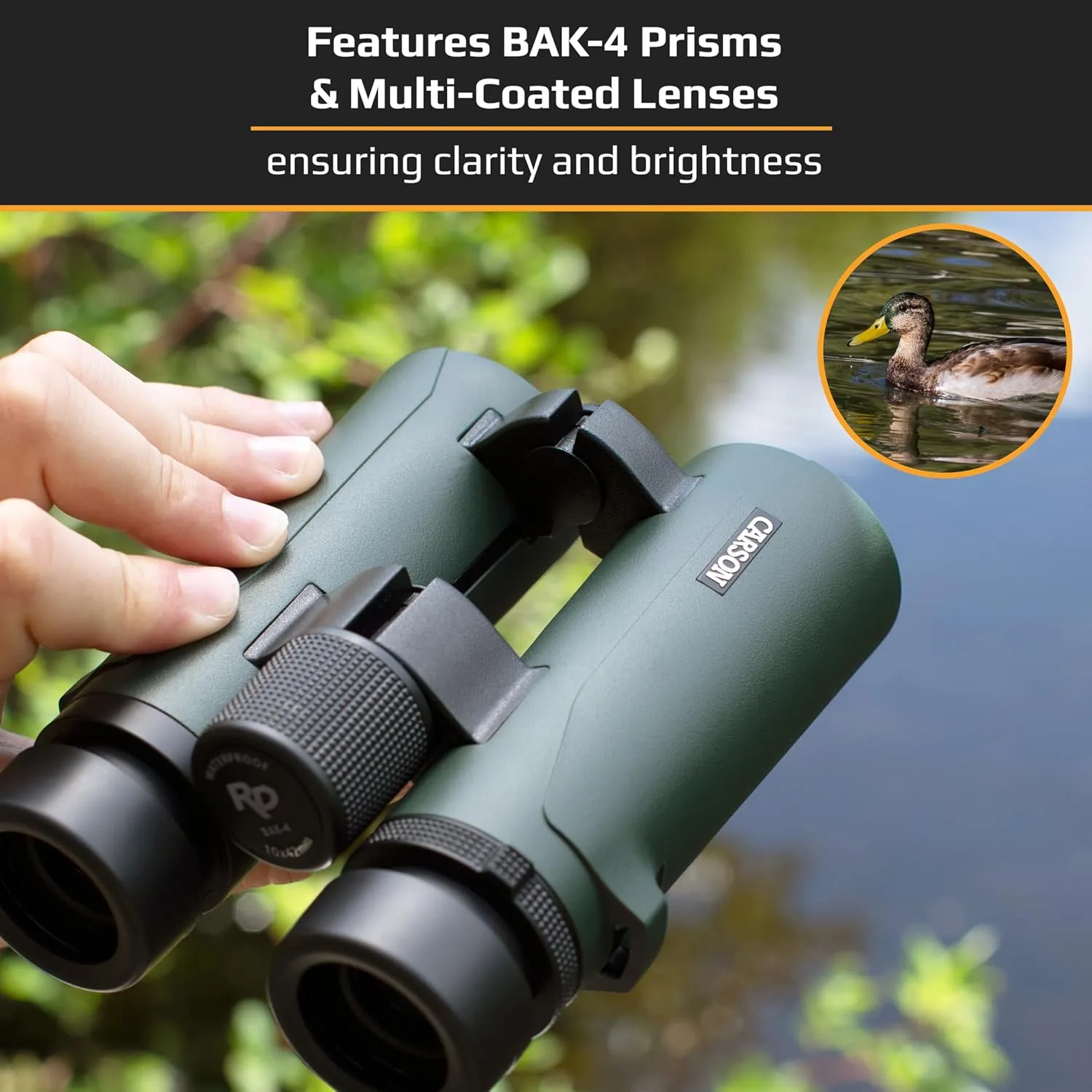 Carson RD Series 8x26mm Open-Bridge Waterproof Compact Binoculars (RD-826), Green