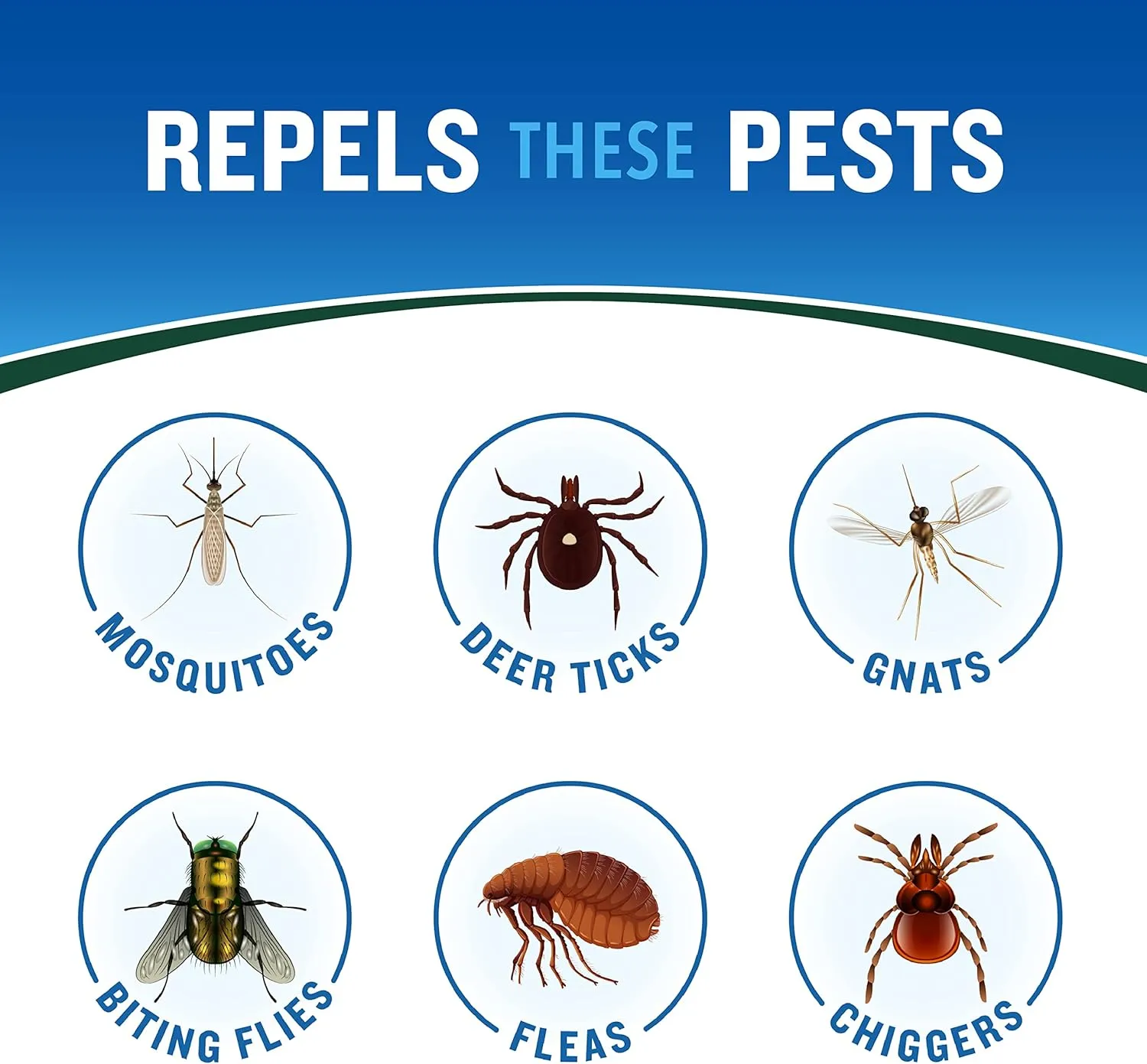 Cutter Backwoods Insect Repellent (12 Pack), Repels Mosquitos for Up To 10 Hours, 25% DEET, 6 Ounce (Aerosol Spray)