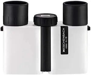 Eschenbach Vision Binoculars (4X or 6X) - Ideal for Low Vision Applications and Everyday Use (6X Magnification)