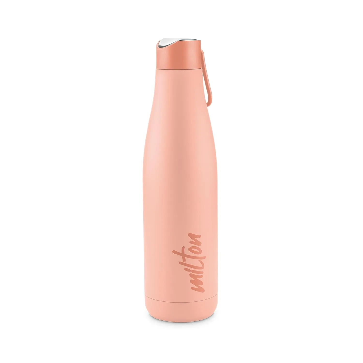 Fame Thermosteel Bottle (Milton)