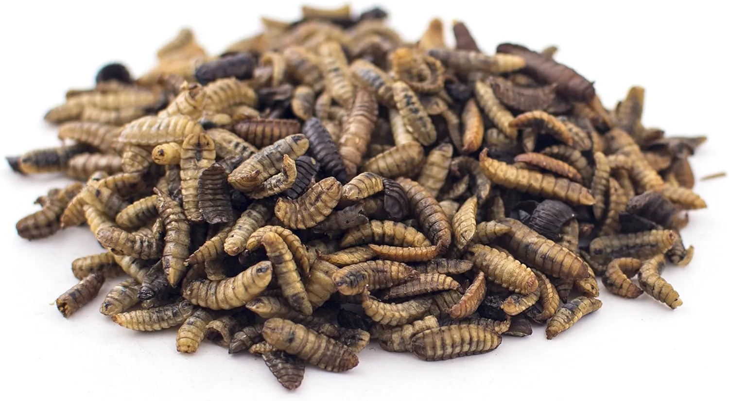 Fluker's Culinary Coop Premium Chicken Treats, Dried Soldier Worms, Packed with Protein and Calcium, 100% Natural Rich Grubs for Chicken, Backyard Birds, and Reptiles, 16 oz (Pack of 2)