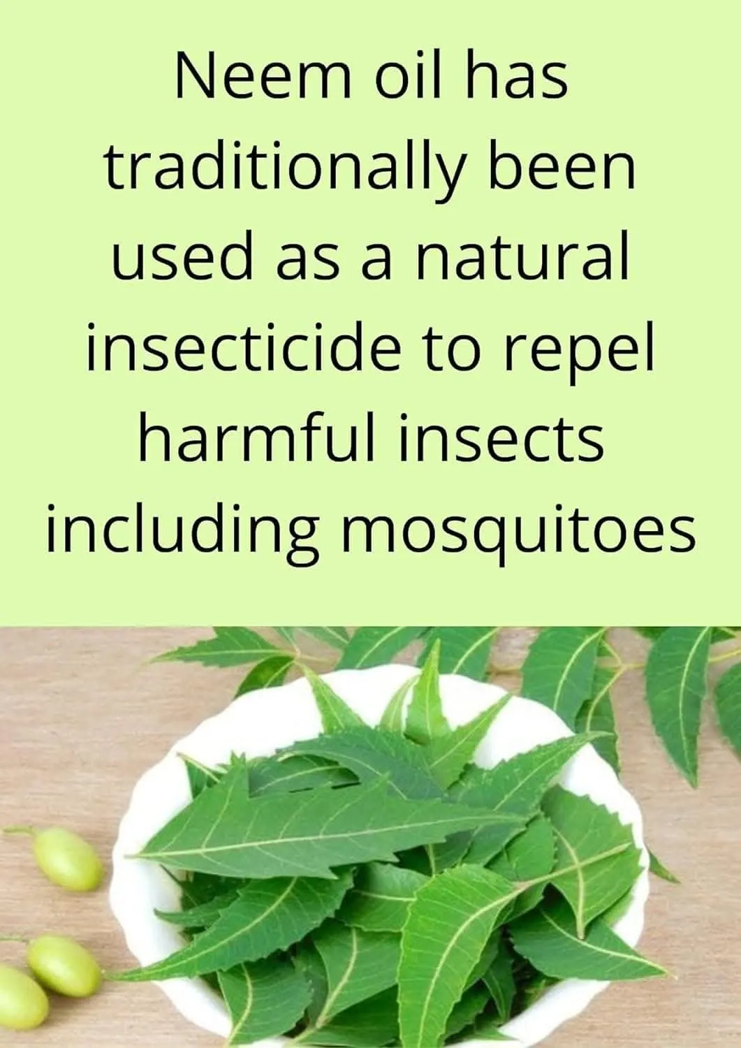 Gaumayam Prahaar Neem Agarbatti Mosquito Repellent Sticks (60 Sticks)