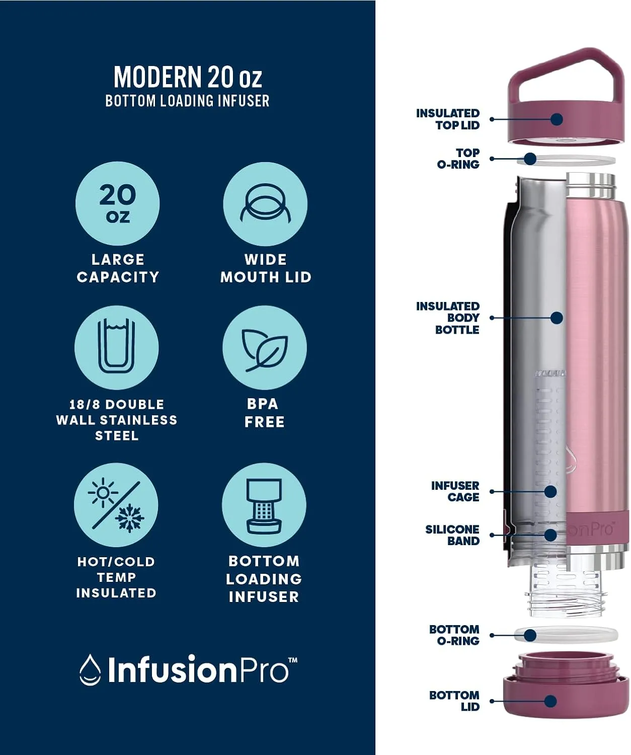Infusion Pro Fruit Infuser Water Bottle - Vacuum Insulated (20 oz) Stainless Steel : Fruit Infusion Recipe eBook : Bottom Loading for More Flavor : Easy Cleaning : Great Gift