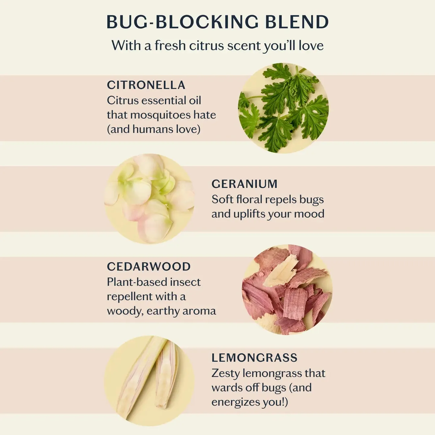 Kate McLeod - The Bug Balm