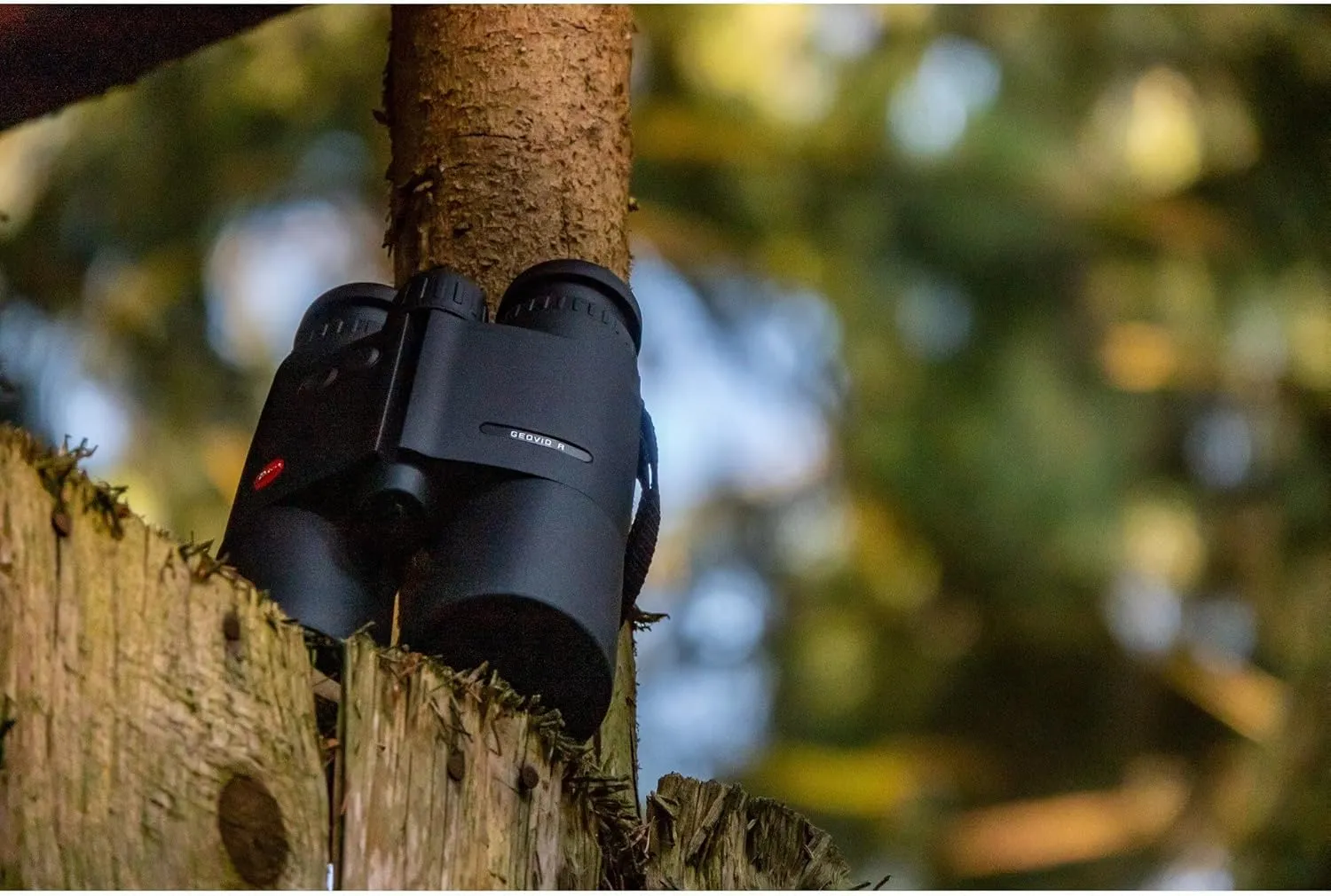 LEICA Geovid R Gen 2022 Compact Lightweight Hunting Bird Watching Rangefinder Binoculars with Carrying Strap Incuded, 15X56