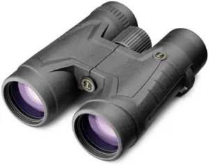 Leupold 11989 Bx-2 Acadia Roof Binoculars, Black, 8 x 42mm