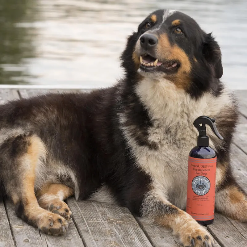 Natural Bug Repellent Spray For Dogs