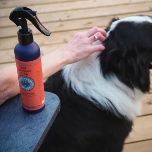 Natural Bug Repellent Spray For Dogs