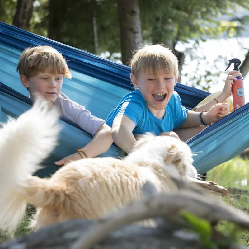 Natural Bug Repellent Spray For Dogs
