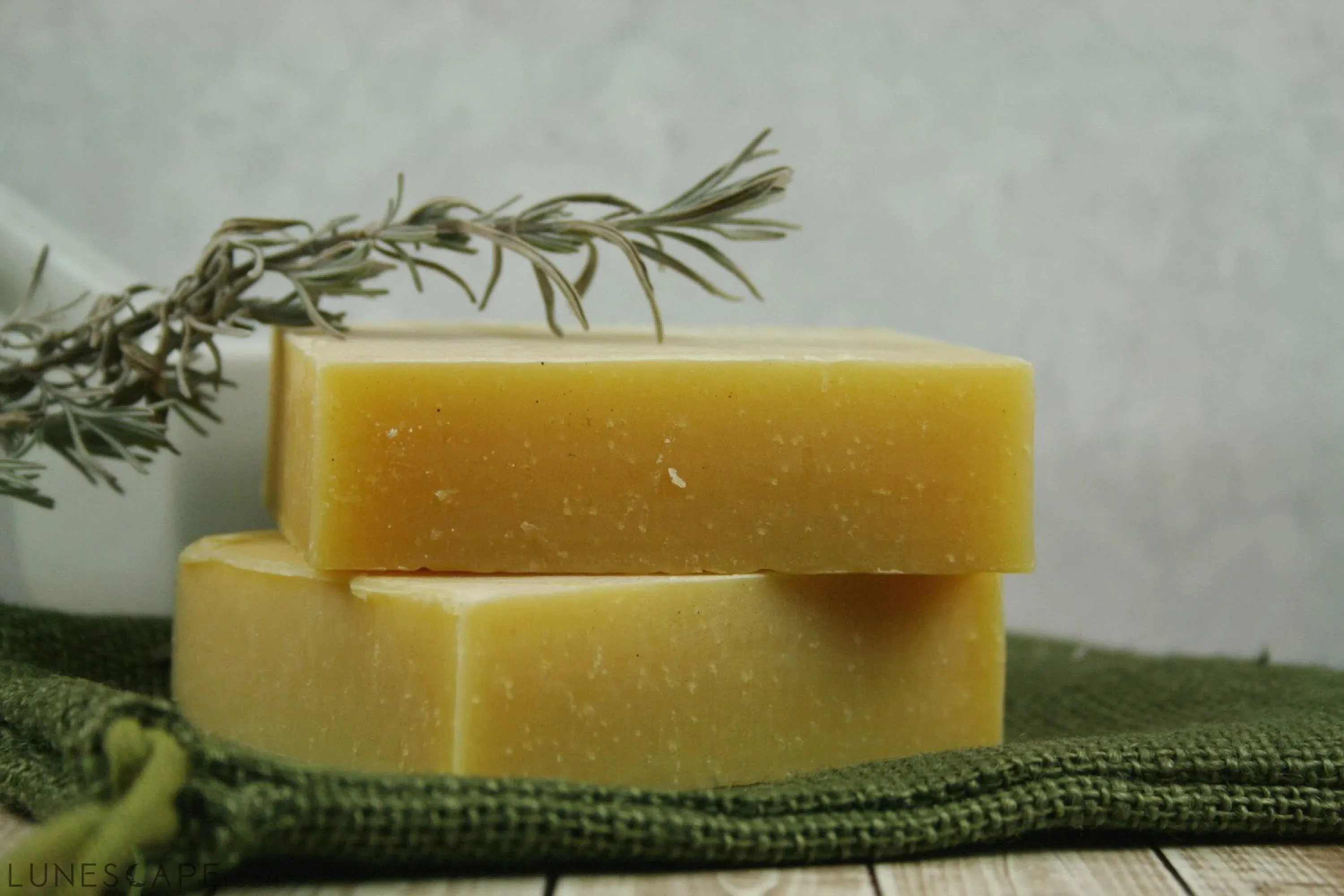 Natural Campers Shampoo & Body Bar - Insect