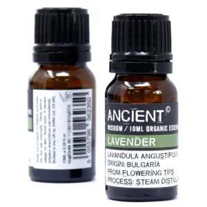 Organic Lavender Essential Oil – Soothing Floral Aroma for Daily Calm