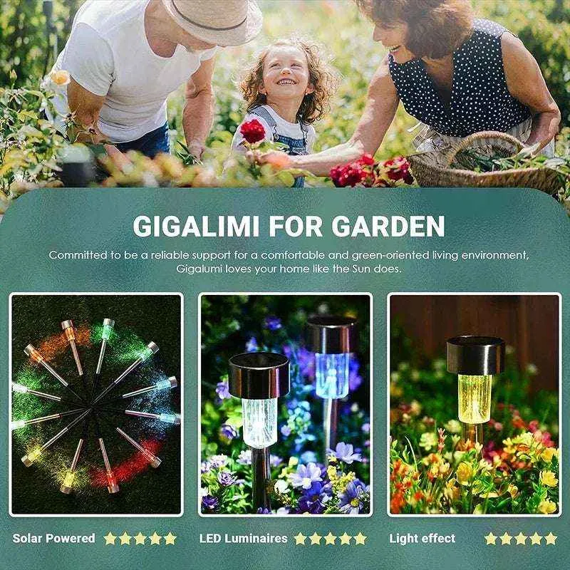 Outdoor Solar Garden Lights