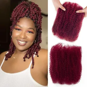 poetically 10 Inch Afro Kinkys Bulk Human Hair 99j Afro Kinky Curly Human Hair Bulk for Dreadlock Extensions,Micro Locs,Twists, Braids and Repair Locs