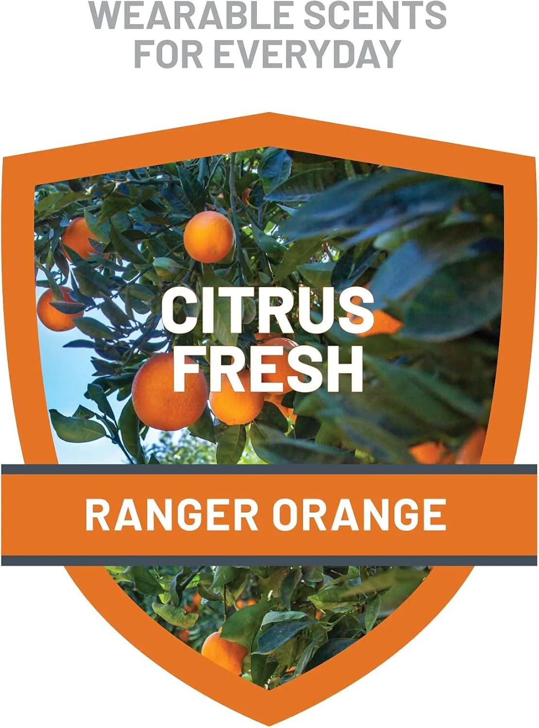 Ranger Ready Repellents Tick Spray and Insect Repellent, Picaridin 20% Bug Spray, Orange Scent, 8 Oz. (Pack of 3)