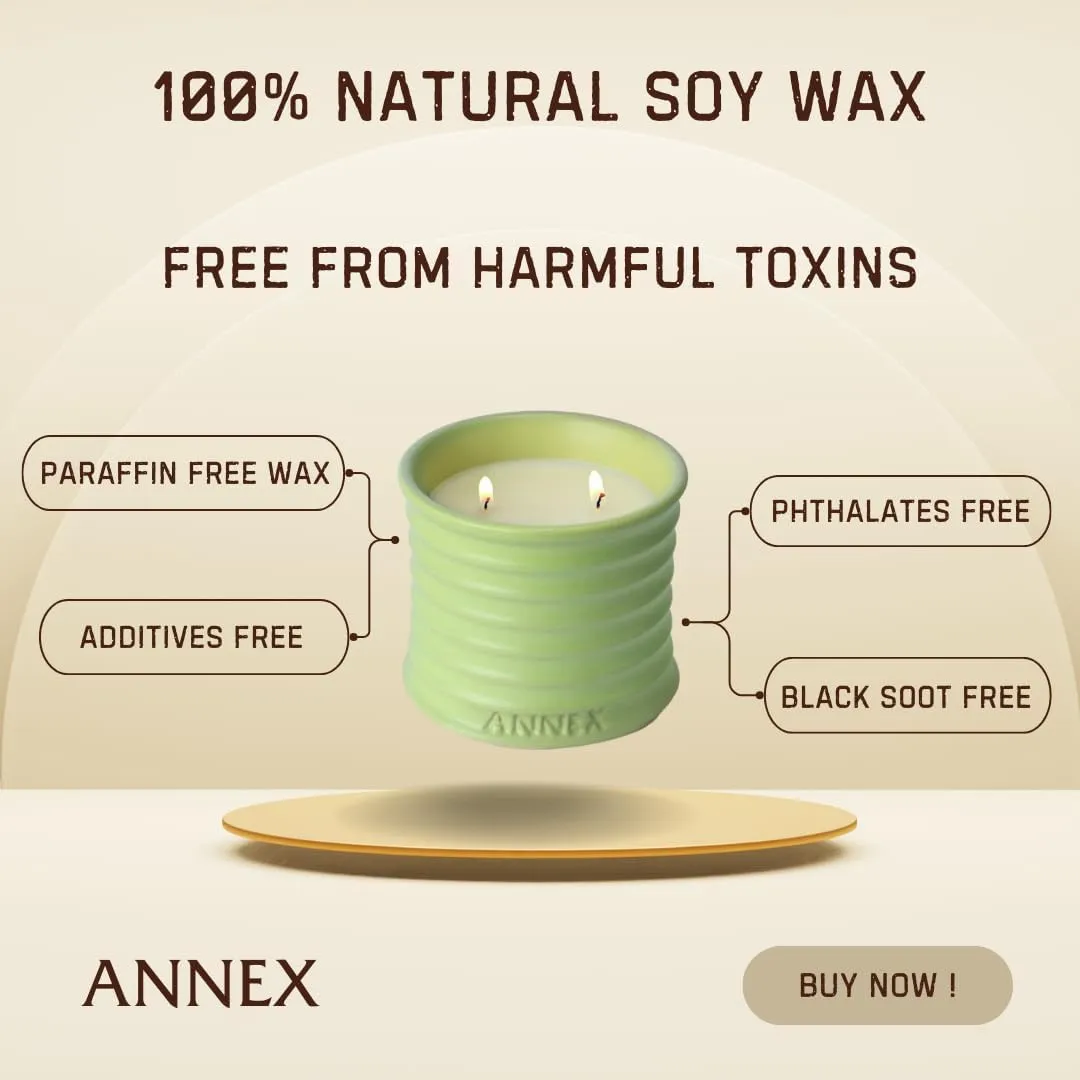 Scented Luxury Candles Outdoor Mosquito Bug Repellent Ceramic Jars, Soy Wax | The Green Life, Large Natural Candle - Green Melon & Peppermint | Non Toxic, 2 Wicks, Reusable Jar