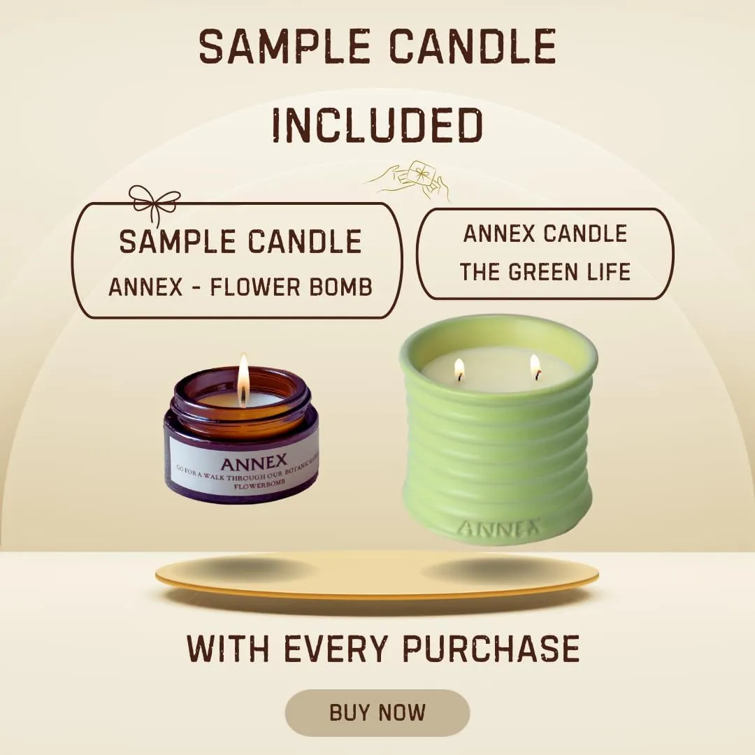 Scented Luxury Candles Outdoor Mosquito Bug Repellent Ceramic Jars, Soy Wax | The Green Life, Large Natural Candle - Green Melon & Peppermint | Non Toxic, 2 Wicks, Reusable Jar