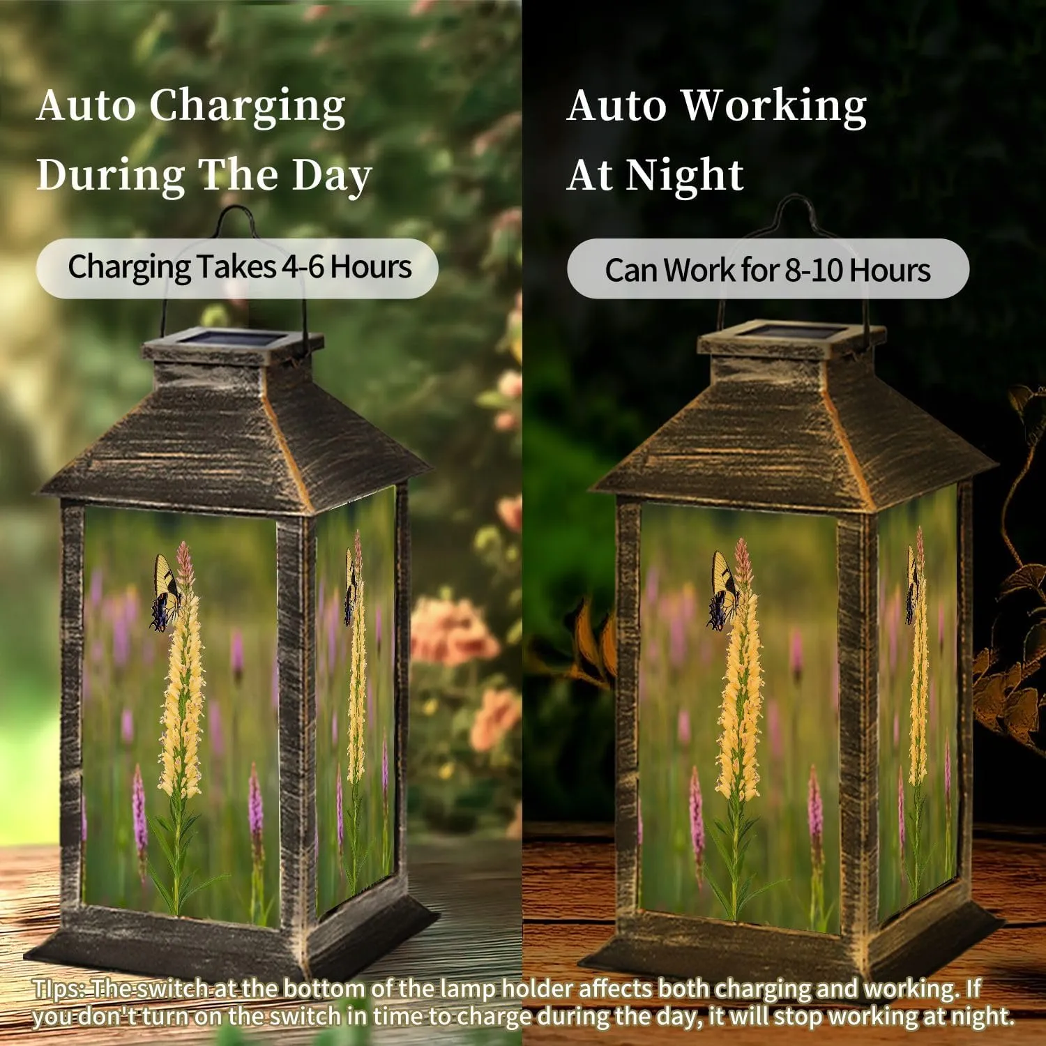 Solar Lantern Eastern Tiger Swallowtail Oglesby Prairie AR Outdoor Waterproof Garden Hanging Lantern Solar Powered Lighting Outside Table Lamp for Patio Deck Camping 1 Pack