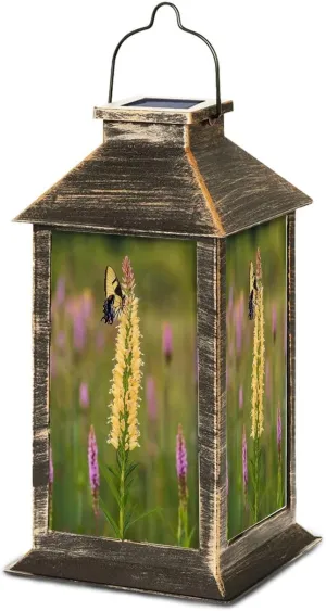 Solar Lantern Eastern Tiger Swallowtail Oglesby Prairie AR Outdoor Waterproof Garden Hanging Lantern Solar Powered Lighting Outside Table Lamp for Patio Deck Camping 1 Pack