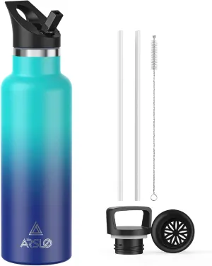 Stainless Steel Double Wall Water Bottles, Vacuum Insulated Bottle With Straw Lid, Insulated Water Bottle Keeps Water Cold for 24 Hours, Hot for 12 Hours, Hiking, Sports