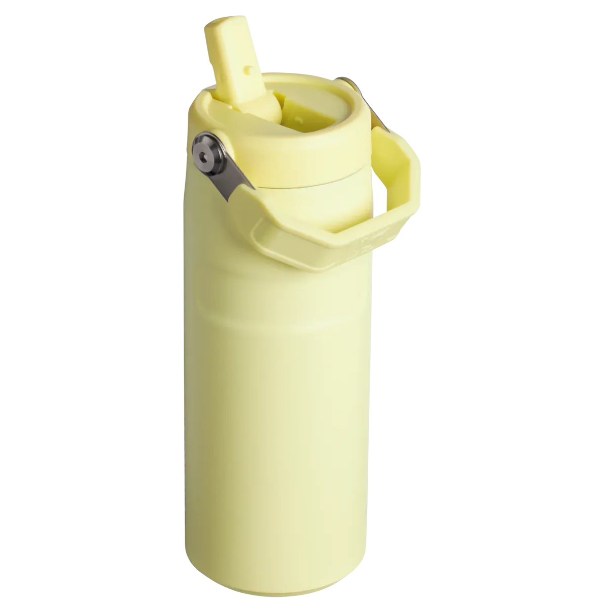 STANLEY - IceFlow™ Bottle with Flip Straw Lid | 16oz