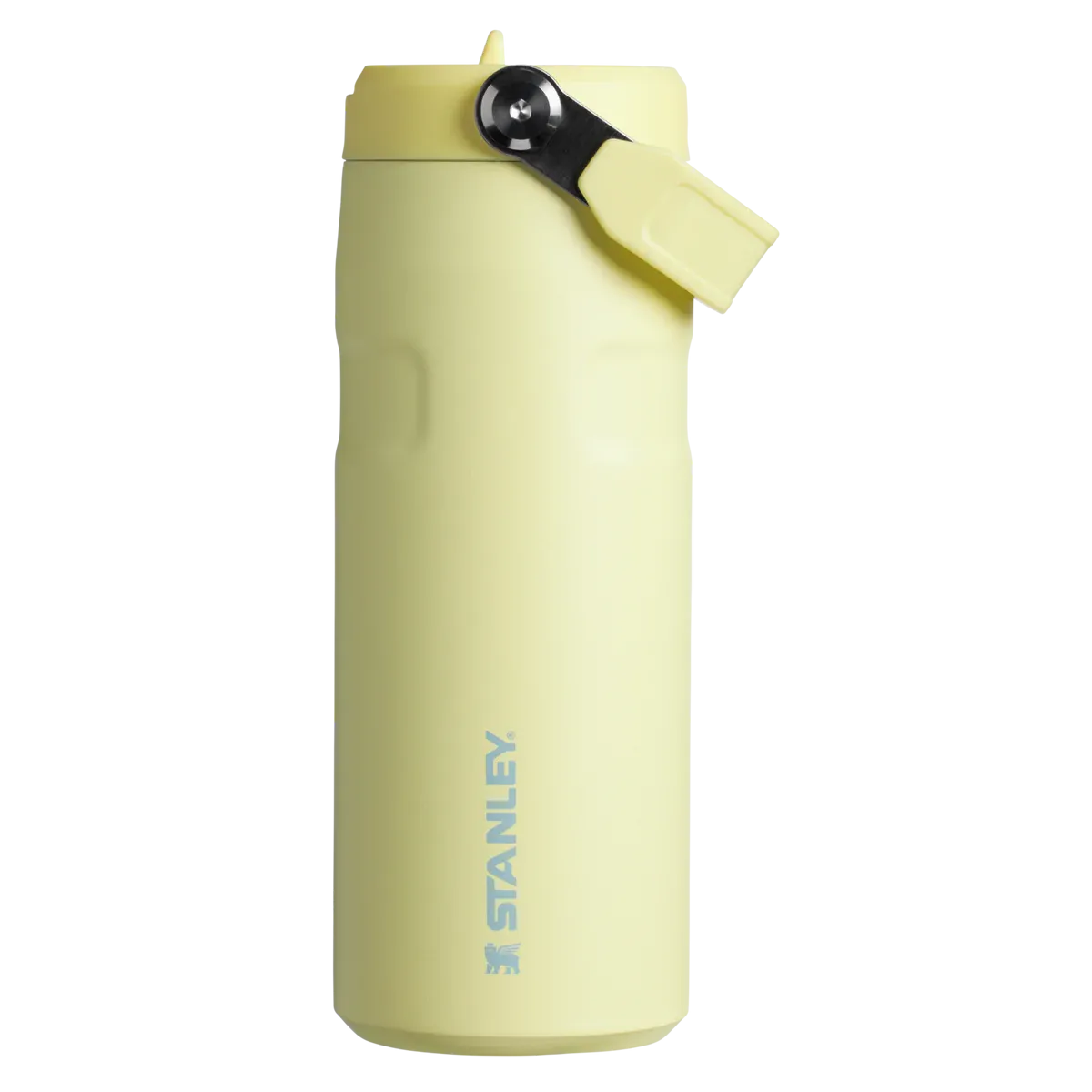 STANLEY - IceFlow™ Bottle with Flip Straw Lid | 16oz