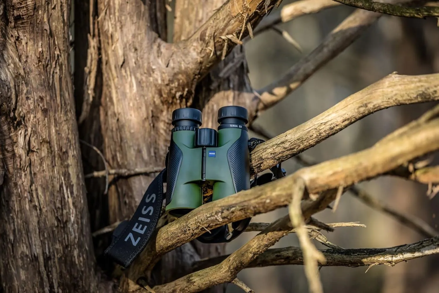 ZEISS Terra ED Binoculars 8x42 Waterproof, and Fast Focusing with Coated Glass for Optimal Clarity in All Weather Conditions for Bird Watching, Hunting, Sightseeing, Green